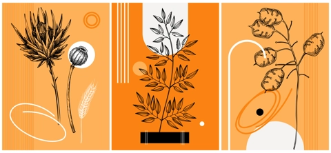 Collage style autumn vector illustration. Sketched leaves and dried flowers. Trendy fall design with botanical, geometric shapes, and abstract elements. For print, poster, card, social media